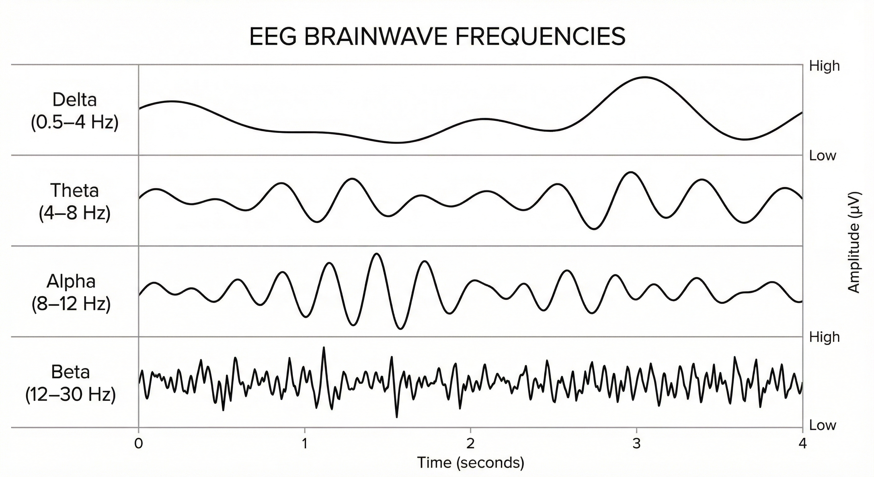 EEG Brainwave Frequencies Delta Theta Alpha Beta